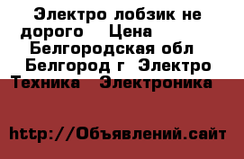 Электро-лобзик не дорого. › Цена ­ 1 500 - Белгородская обл., Белгород г. Электро-Техника » Электроника   